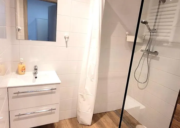 公寓式酒店 Przy Plazy 索波特